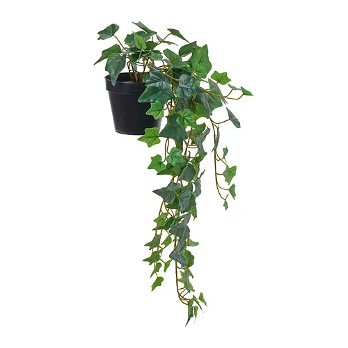 FEJKA - 人造盆栽，室內/戶外用/眼樹蓮 常春藤，12 公分 | IKEA 線上購物 - E1004543_S4