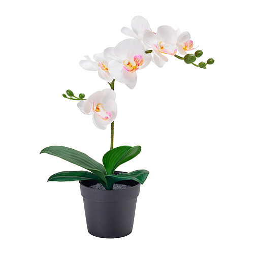 FEJKA - 人造盆栽，蘭花 白色，9 公分 | IKEA 線上購物 - E1004561_S4