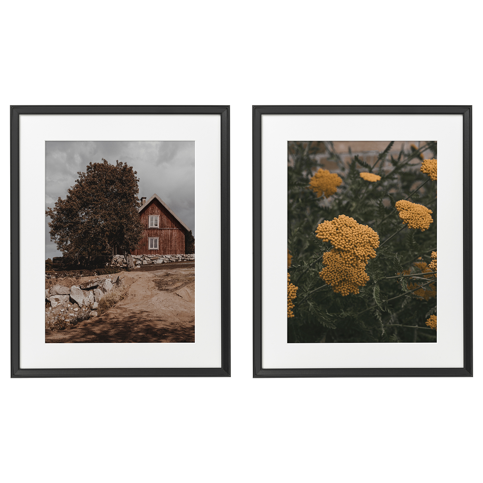 KNOPPÄNG frame with poster