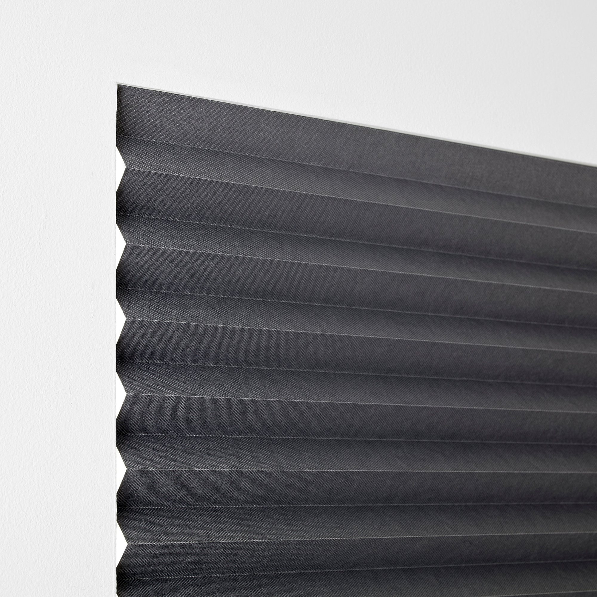 SCHOTTIS block-out pleated blind