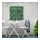 FEJKA - 人造植物, 上牆式/室內/戶外用 綠色 | IKEA 線上購物 - PE675035_S1
