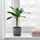 BOYSENBÄR - 花盆, 室內/戶外用 淺灰色 | IKEA 線上購物 - PE782522_S1