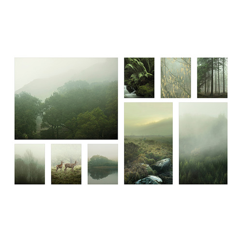 PJÄTTERYD - picture, set of 9, Mist in the forest | IKEA Taiwan Online - PE901646_S4