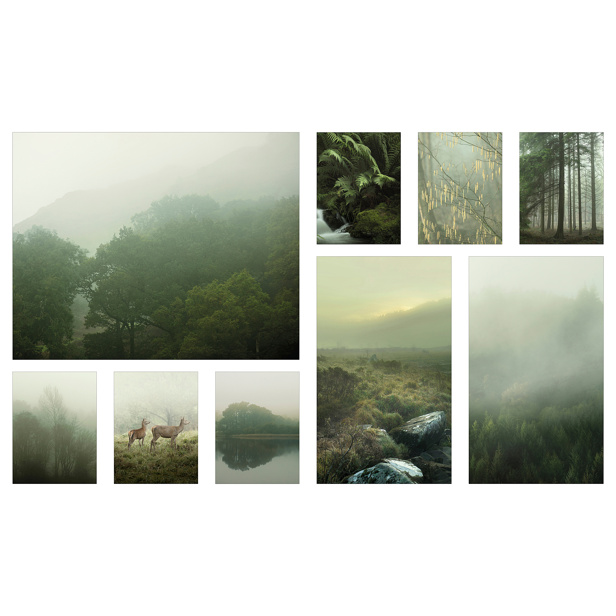 PJÄTTERYD picture, set of 9