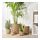KLYNNON - plant pot | IKEA Taiwan Online - PE863418_S1