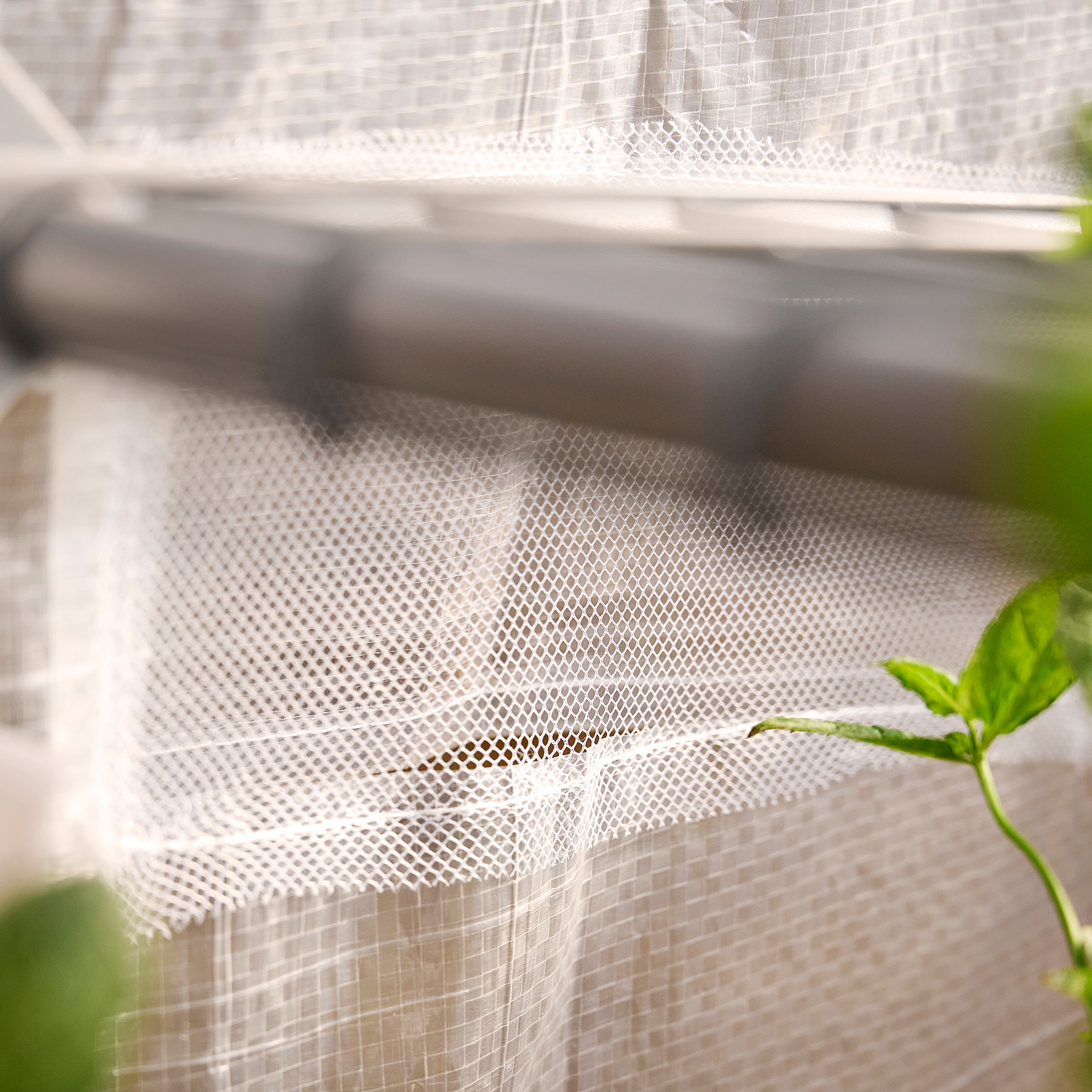 ASPAREN greenhouse