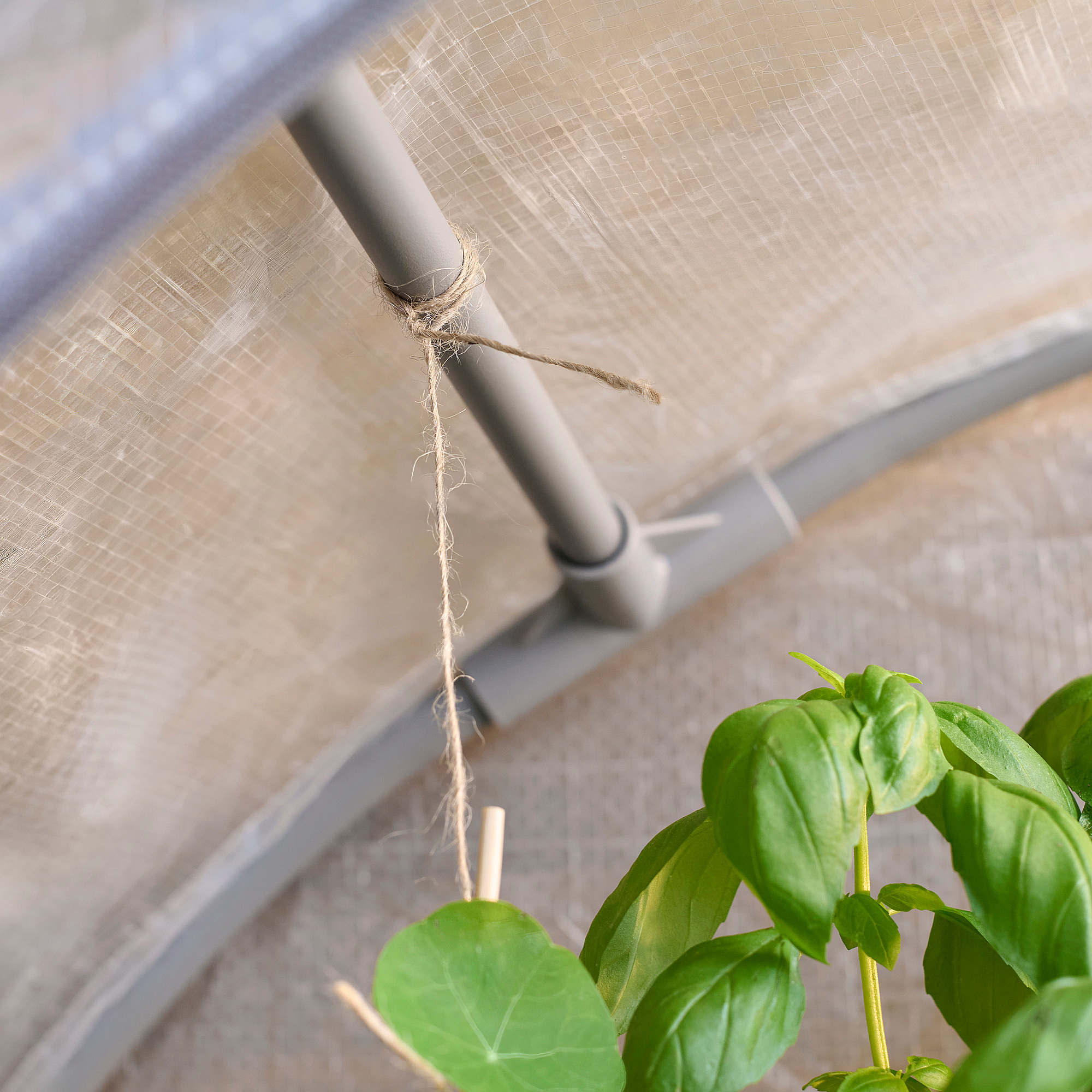 ASPAREN greenhouse
