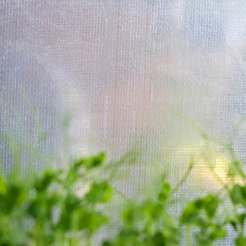 ASPAREN greenhouse