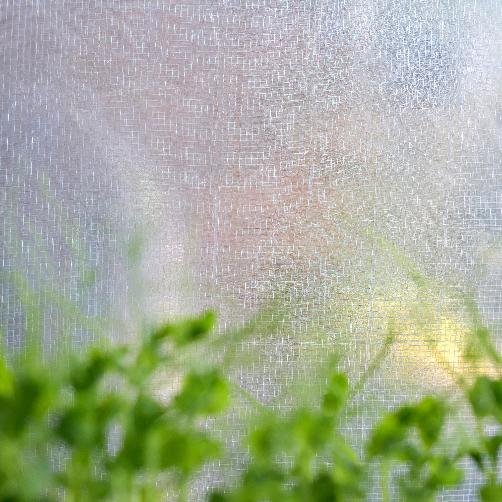 ASPAREN greenhouse