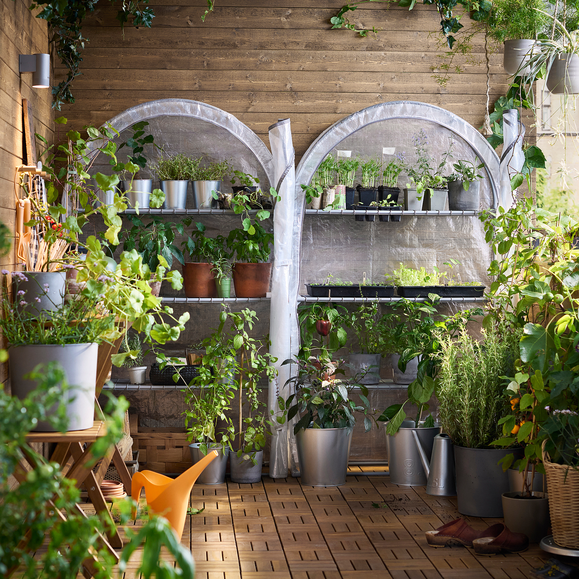 ASPAREN greenhouse