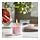 LUGNARE - 香氛杯狀蠟燭, 茉莉花味/粉紅色 | IKEA 線上購物 - PE864571_S1