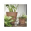 KLARBÄR plant pot with saucer