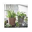 KLARBÄR plant pot with saucer
