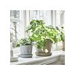 KLARBÄR plant pot with saucer