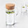 IKEA 365+ - 附蓋冷水壺, 透明玻璃/軟木 | IKEA 線上購物 - PE629221_S1