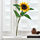 SMYCKA - 人造花, 太陽花 黃色 | IKEA 線上購物 - PE767320_S1