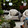 SKARPÖ - 戶外扶手椅, 深米色 | IKEA 線上購物 - PH176135_S1