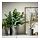 CITRUSFRUKT - plant pot with saucer, in/outdoor grey | IKEA Taiwan Online - PE865056_S1