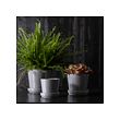 CITRUSFRUKT plant pot with saucer