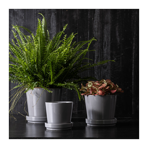 CITRUSFRUKT - plant pot with saucer, in/outdoor grey | IKEA Taiwan Online - PE865054_S4