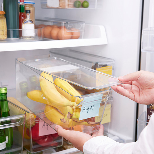 KLIPPKAKTUS storage box for fridge