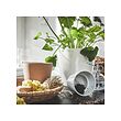 KLARBÄR plant pot with saucer