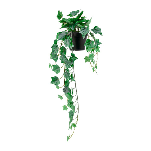 FEJKA - 人造盆栽, 室內/戶外用/眼樹蓮 常春藤, 12 公分 | IKEA 線上購物 - PE782558_S4