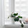 FEJKA - 人造盆栽, 室內/戶外用 眼樹蓮/椒草 | IKEA 線上購物 - PE782570_S1