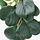 FEJKA - 人造盆栽, 室內/戶外用 眼樹蓮/椒草 | IKEA 線上購物 - PE782571_S1
