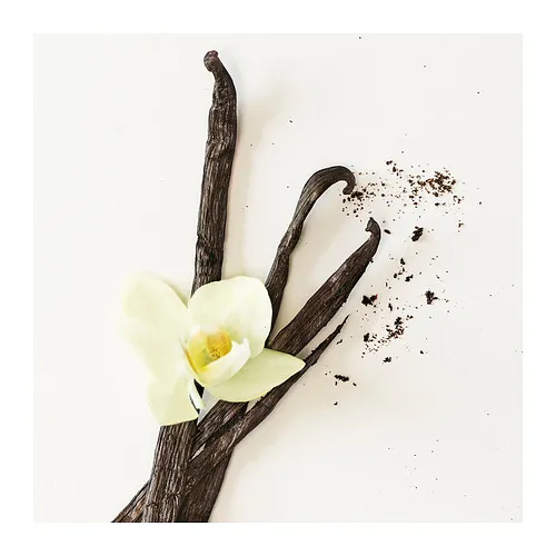 FRÖFINK 香氛乾燥花