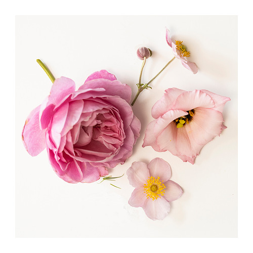 JUVELTRAST scented candle in glass