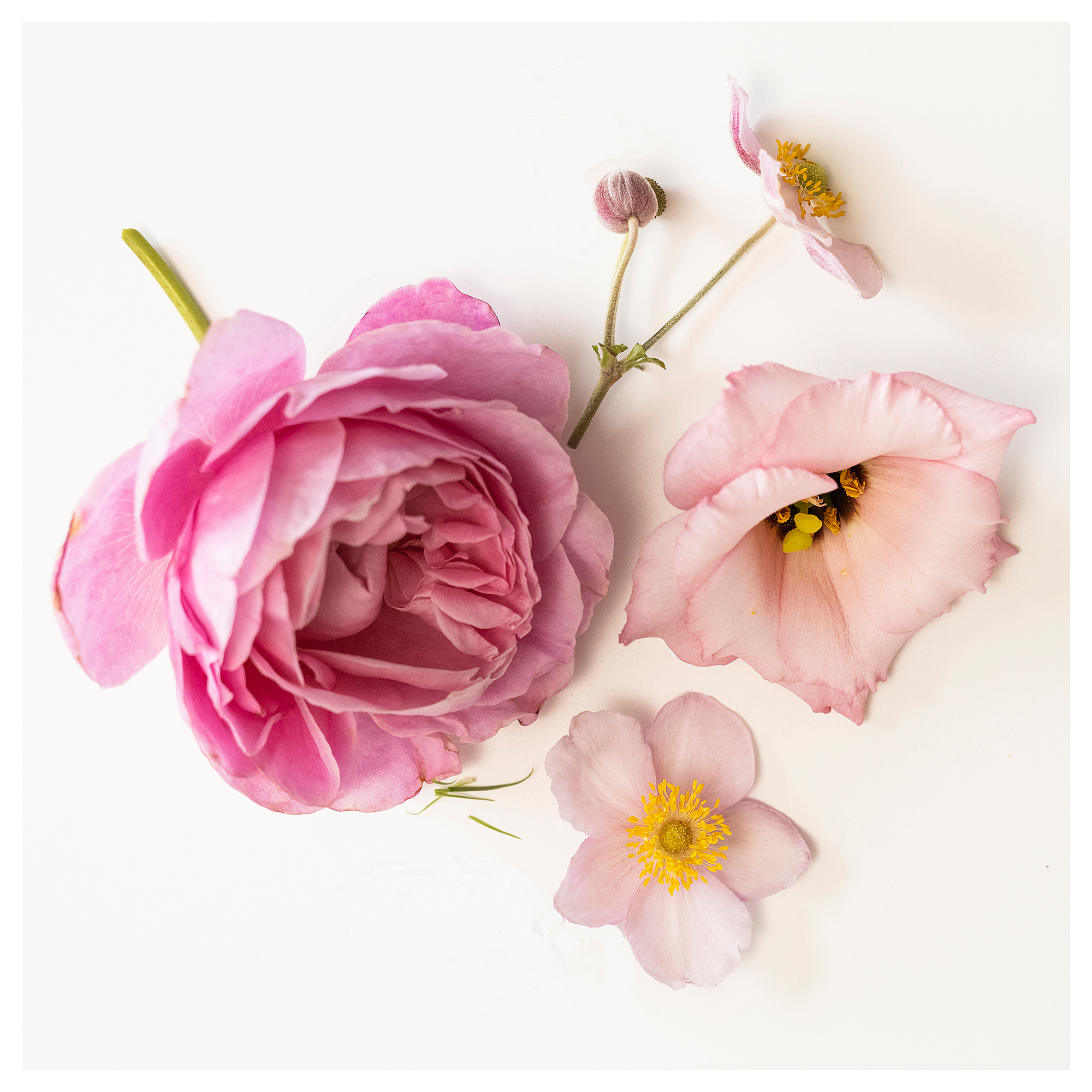 JUVELTRAST scented candle in glass