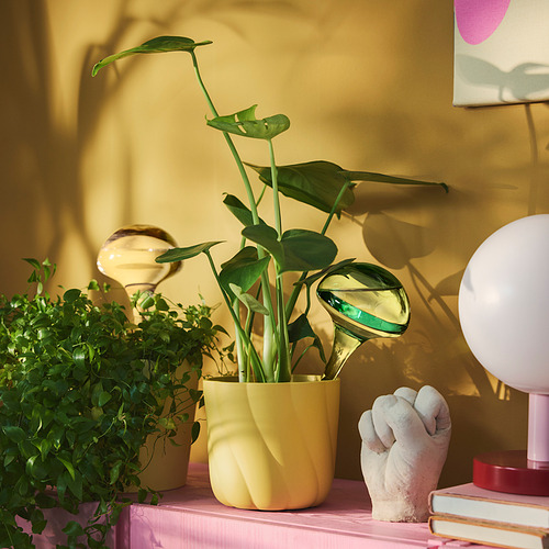 DOFTRIPS 自動給水內盆