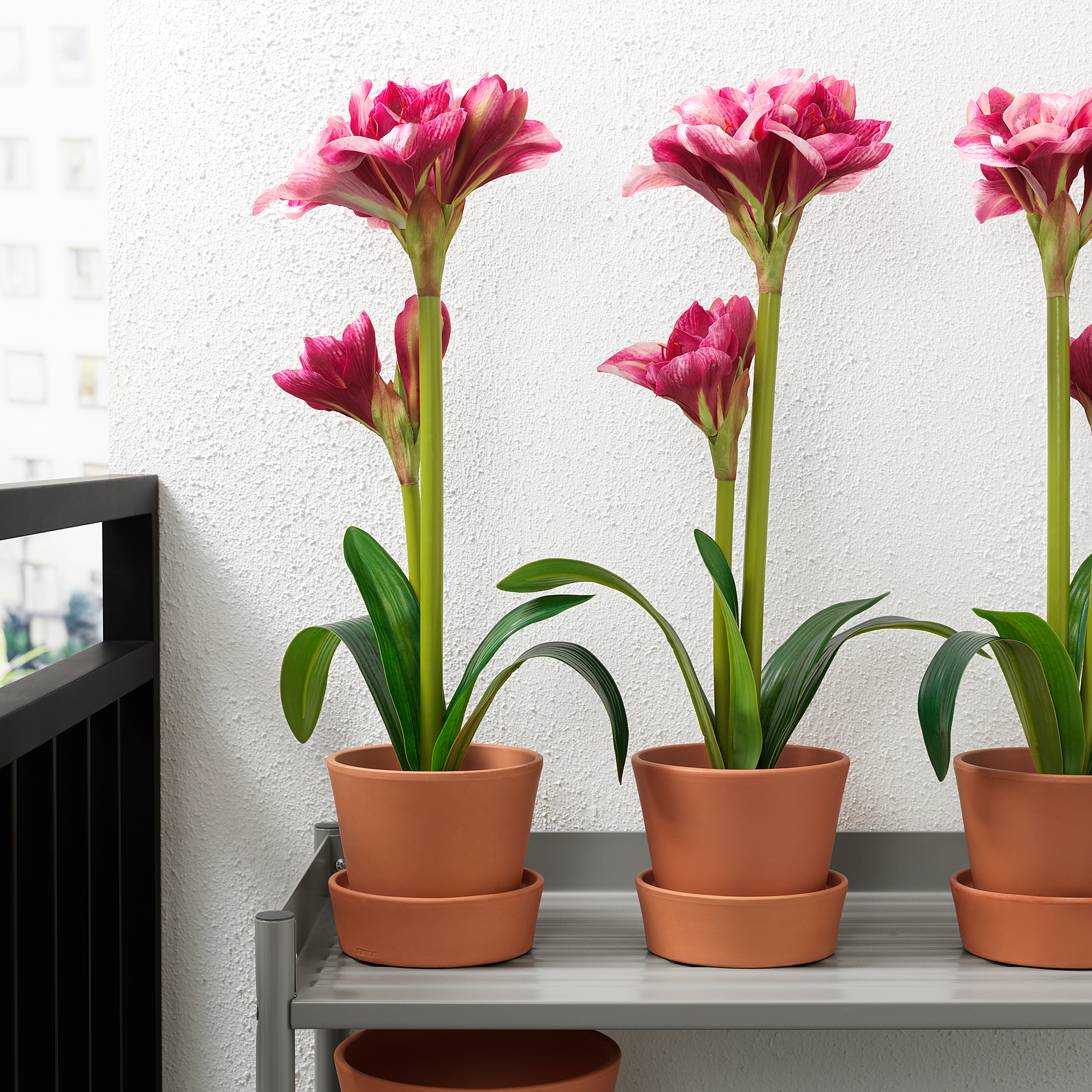 Ingefara 花盆附底盤 戶外用 赤陶土 Ikea 線上購物 Ingefara 花盆附底盤 戶外用 赤陶土 Ikea 線上購物