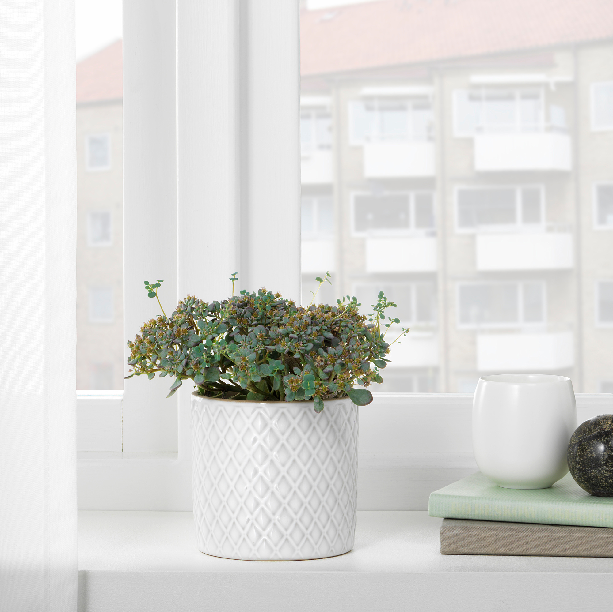 CHIAFRÖN plant pot