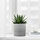 NYPON - 花盆, 室內/戶外用 灰色 | IKEA 線上購物 - PE700344_S1