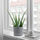 NYPON - 花盆, 室內/戶外用 灰色 | IKEA 線上購物 - PE727657_S1