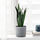 BOYSENBÄR - 花盆, 室內/戶外用 淺灰色 | IKEA 線上購物 - PE717652_S1