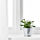 BINTJE - 花盆, 電鍍 | IKEA 線上購物 - PE639172_S1