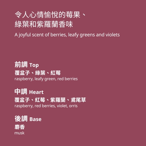 STÖRTSKÖN - scented tealight | IKEA Taiwan Online - 00502167_S4