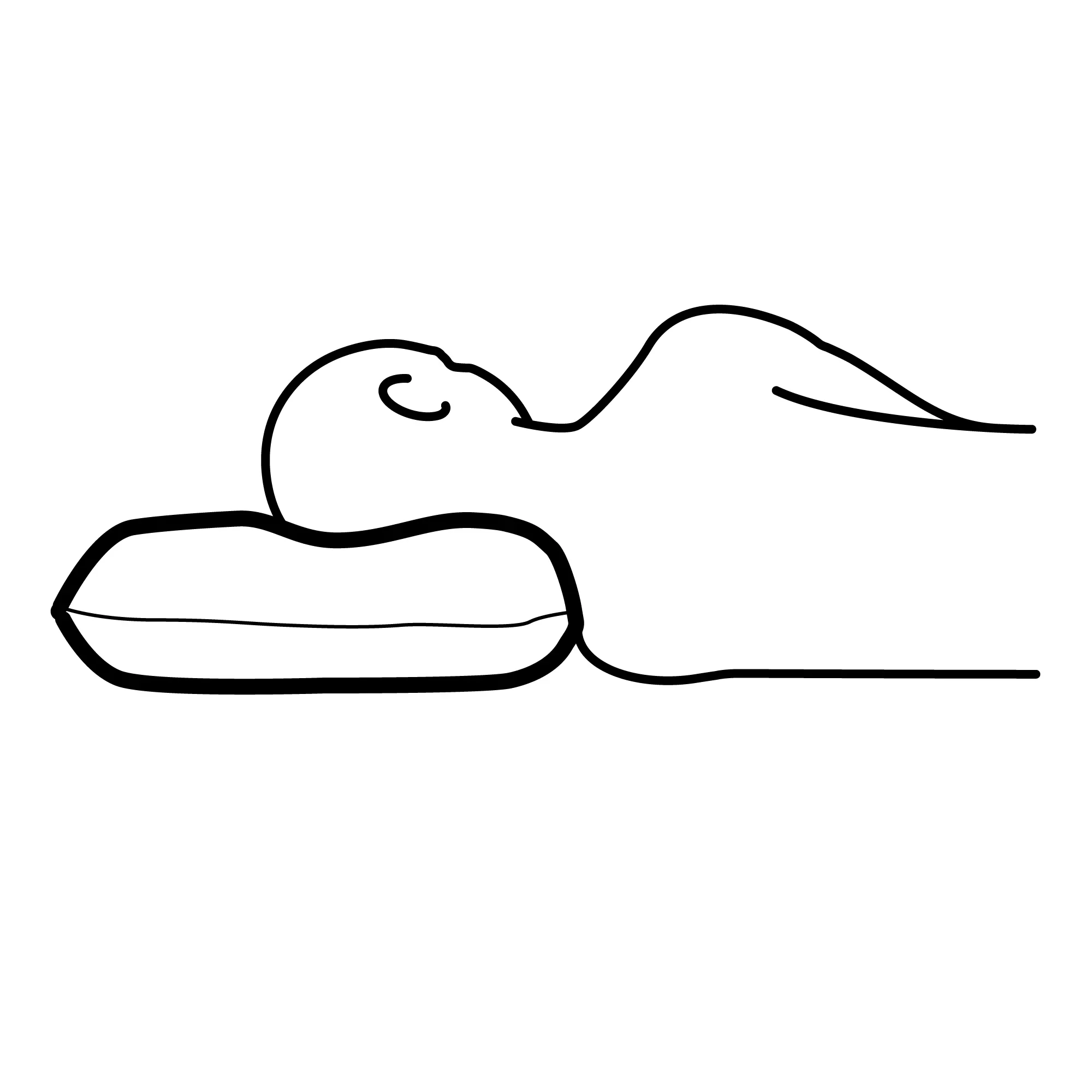 RAMSLÖKSMAL 人體工學枕/多種睡姿