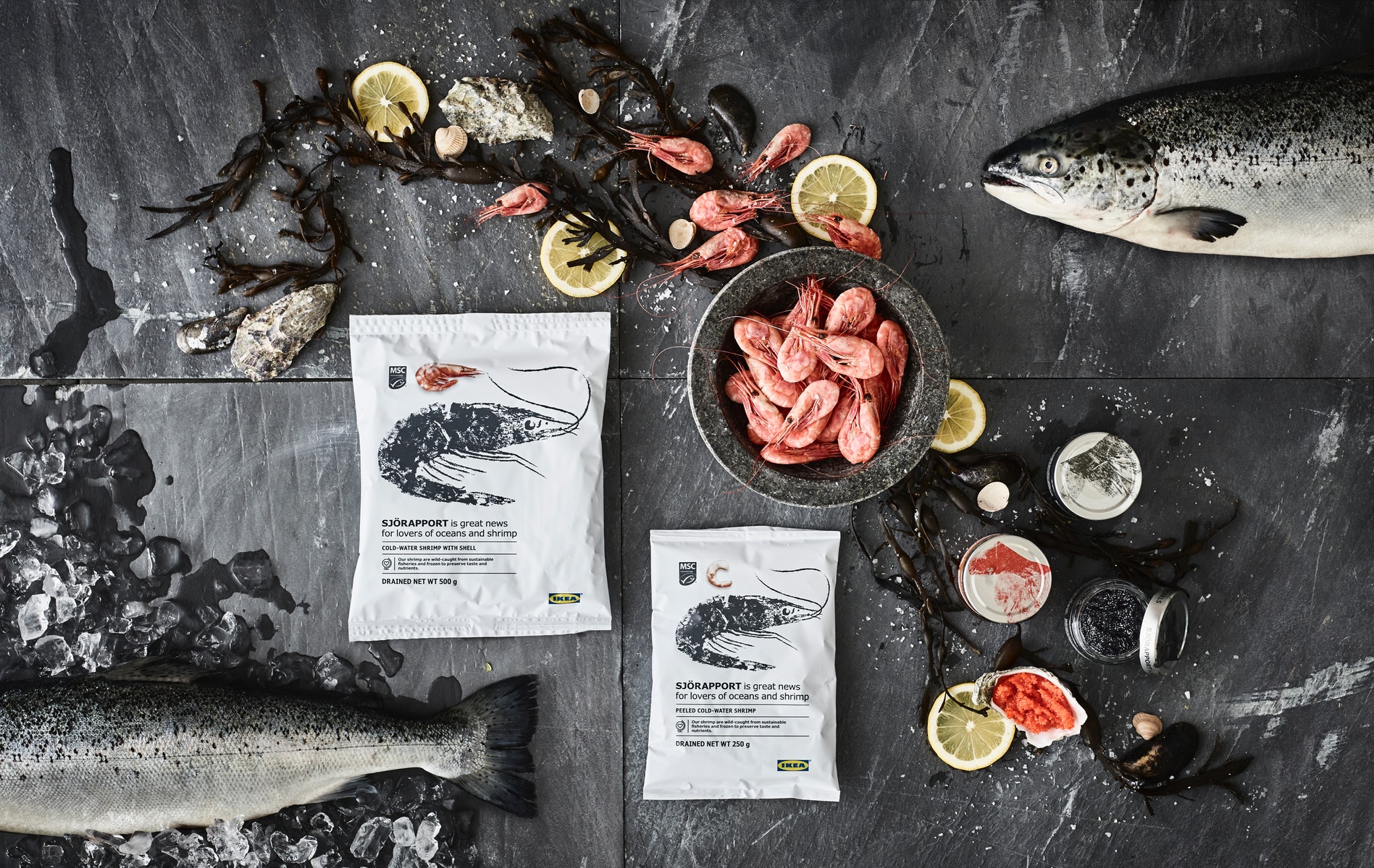 三文魚丸矚目登場