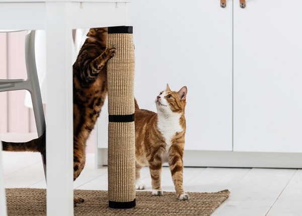 ikea cat condo