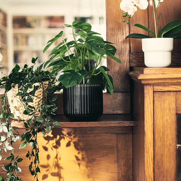 Artificial plants │ IKEA
