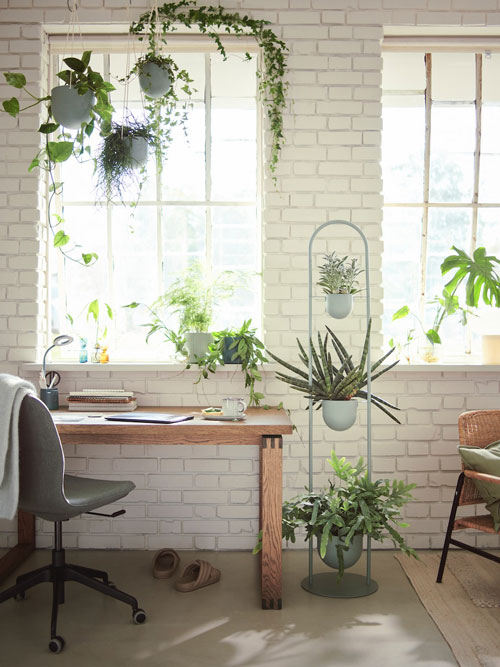Outdoor plants & Candles | Outdoor decorations | IKEA Taiwan Online