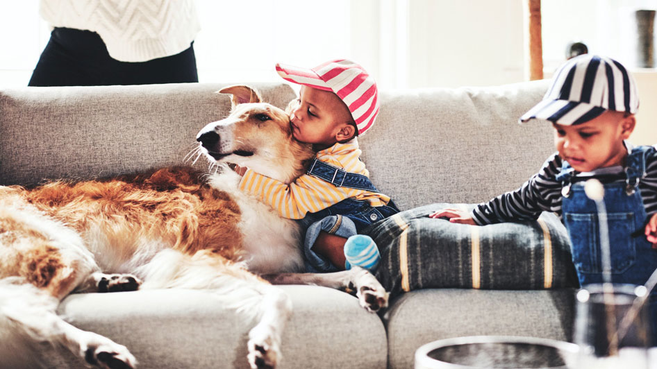 Home 3 | Blended: a combined household with space for a big family