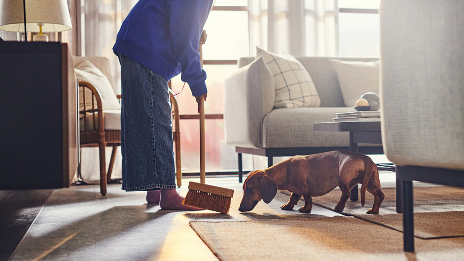Fresh as can be: a home designed for cleaning from the ground up
